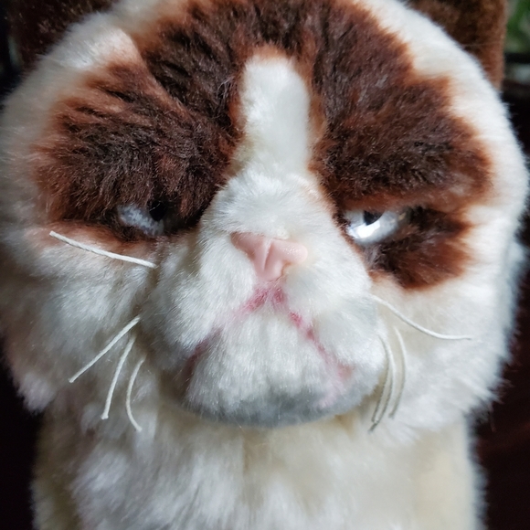 💙 Grumpy Cat Plush - Picture 7 of 7